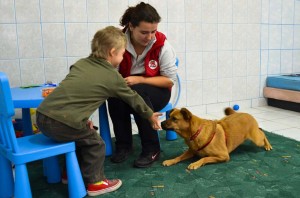 Vertrauen aufbauen - Hundetrainerin Mihaela Rafailescu beim ersten Kennenlernen. Foto: Vier Pfoten