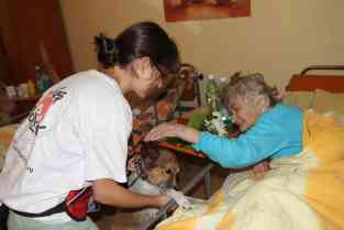 Zärtlichkeit - viele können sie hier nur noch mit Tibi (mit Hundetrainerin Iulia Miu) erleben