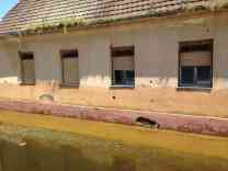 Auch in Gunja gibt es noch Häuser mit Einschusslöcher und Granatsplitter aus dem Balkankrieg vor 20 Jahren. Foto: BR | Gordan Godec