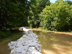 An der serbisch-kroatischen Grenze drängt das Wasser durch den Wald. in Richtung Morovic Foto: BR | Dejan Stefanovic