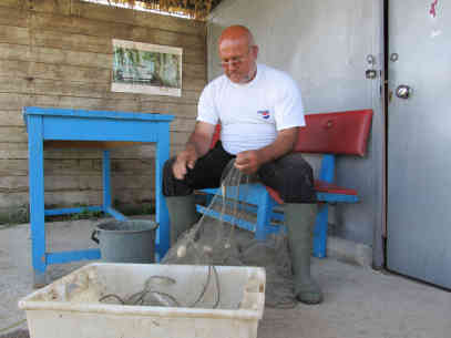 Bulgarien | Tutrakan - Der Morgenfang wird aus dem Netz geholt - Foto: BR | Camelia Ivanova