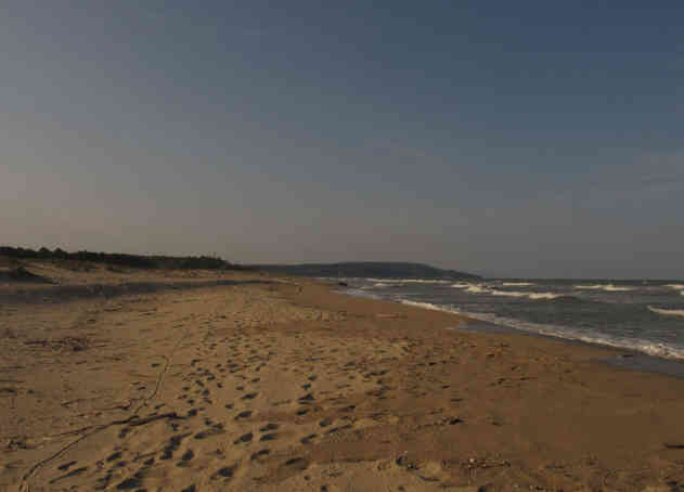 Bulgarien: Der "Kamchiiski pyasaci" Strand ist mit 12 Kilometern Länge der längste naturbelassene Sandstrand Bulgariens - Foto: BR | Camelia Ivanova