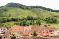 Rumänien - Birthälm: Das Stufenrelief der umgebenden Hügel zeugt bis heute von der vergangenen Tradition der hiesigen Weinbauern. Dem machte die Enteignung im Kommunismus ein Ende. Foto: BR | Iulian Comanescu