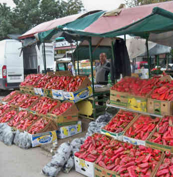 Mazedonien ist eines der Hauptanbaugebiete des roten Paprika. Foto - BR|Lyubisha Nikolovski