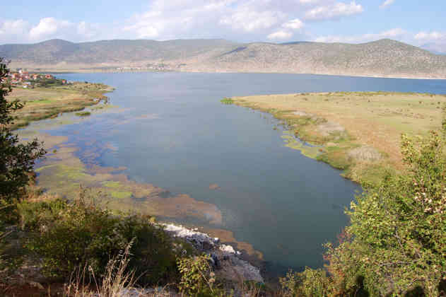 Naturpark Prespa-Ohrid: Im Prespa-See gibt es acht Fischarten, die nur hier vorkommen - Foto: BR | Stephan Ozsváth