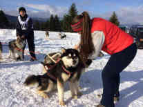 Fast alle Teilnehmer investieren ihre gesamte Freizeit in den Hundesport - Foto: BR | Till Rüger