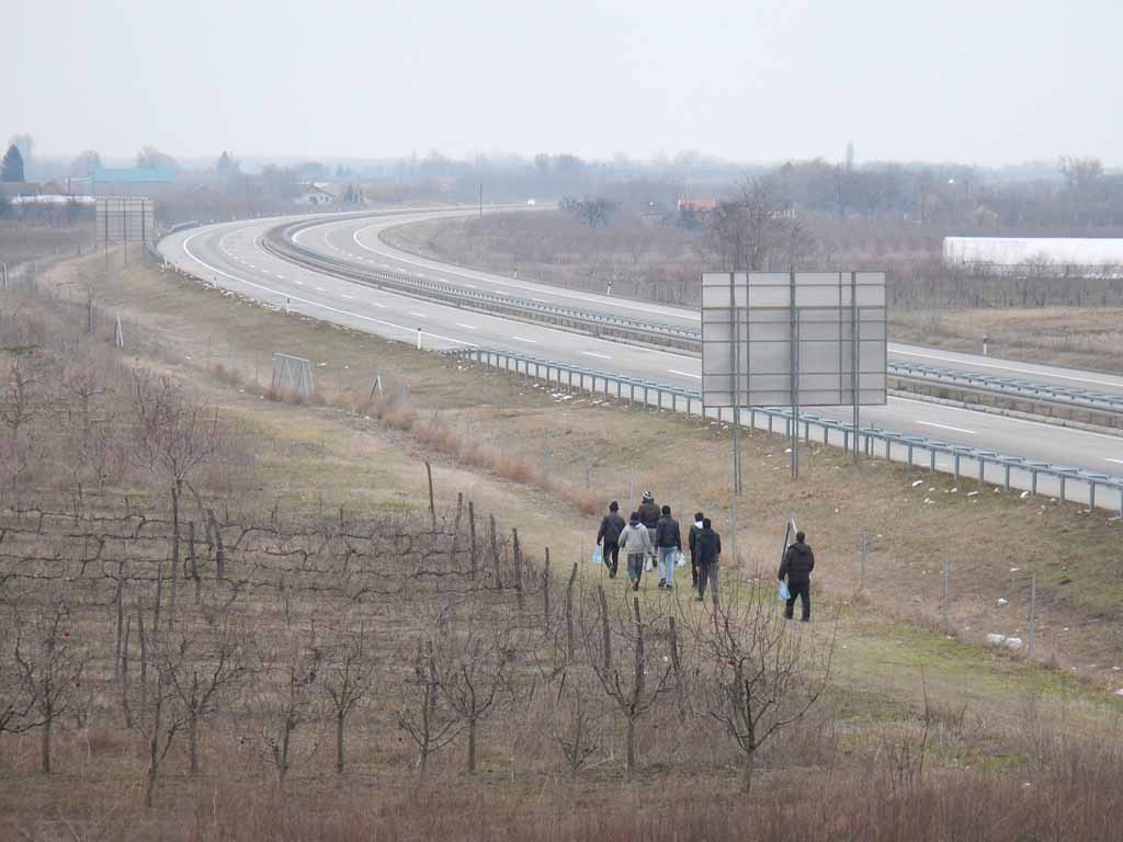 Asyl-Albaner neben der Autobahn Belgrad-Budapest bei Palic (Subotica) - ca. einen Kilometer halb links liegt Ungarn. Foto: BR | Dejan Stefanovic