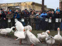 Was verraten die Gesichter des Publikums: Faszination, Entsetzen, Neugier, Mitleid? - Foto: BR | Zoran Ikonic