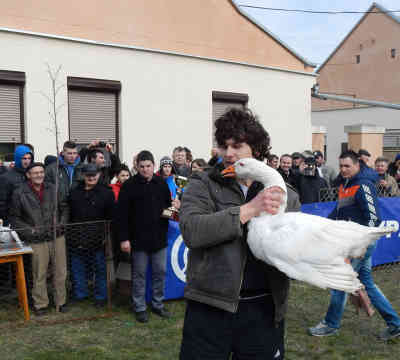 Margitares und Milorad - das Siegerpaar! Der eine stolz, der andere abgekämpft. - Foto: BR | Zoran Ikonic