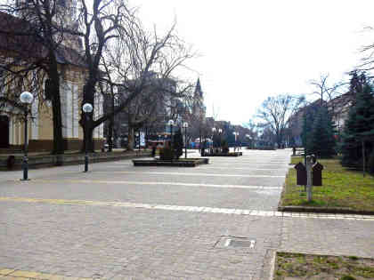 Die Innenstadt von Kikinda – erst beim dritten Blick erkennt man, dass die Bäume voller Eulen sind. - Foto: BR | Zoran Ikonic