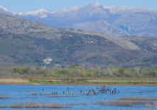 392510_MNE-Saline-Landschaft_2