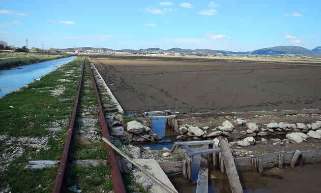 392516_MNE-Saline-Teil_der_Becken_mit_Gleisen_1