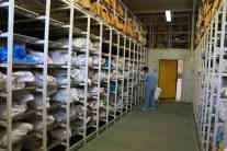 Dragana Vucetic im Knochenlager der ICMP (Internationale Kommission für vermisste Personen) in Tuzla. Foto: BR | Till Rüger