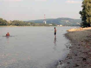 Blick vom Donaustrand Kritzendorf flussabwärts Richtung Wien. Foto: BR | Ralf Borchard