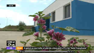 Auch dem rumänischen Fernsehen, war dieses wenig Stille, dafür umso saubere Örtchen ein Beitrag wert. Quelle: Screenshot digi24.ro