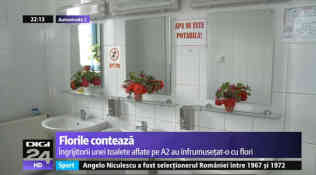 Nicht nur blitzblank geputzt, sondern auch blumengeschmückt. Das Autobahnklo von Kilometer 206. Quelle: Screenshot digi24.ro