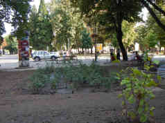 Hauptplatz Kanjiza / Magyarkanizsa (Serbien): Die Flüchtlinge sind in der neuen Notunterkunft am Stadtrand. Die Stadt hat den Platz neu bepflanzt. Foto: BR | Attila Poth