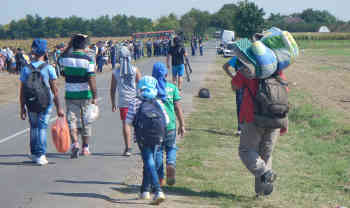 Flüchtlinge gehen zum ersten Sammelpunkt. Vom Maisfeld aus werden sie mit Busse mitgenommen um alle Menschen zu registrieren. Foto: BR | Attila Poth