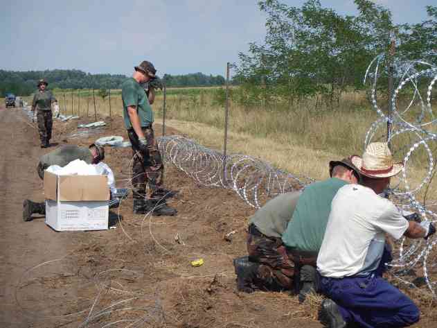 Umweltschützer schlagen Alarm, weil sich Tiere an den scharfen Klingen verletzen könnten. Foto: BR | Attila Poth