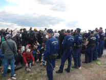 Mehrere hundert Flüchtlinge wurden direkt hinter Grenze von einem Großaufgebot der ungarischen Polizei in Schach gehalten. Foto: BR | Dejan Stefanovic