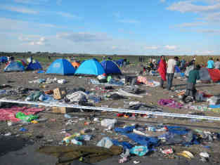 Röszke, der erste ungarische Ort nach der Grenze zu Serbien. Hunderte Flüchtlinge, darunter viele Familien mit kleinen Kindern, mussten wegen der Polizeibarriere die Nacht im Freien verbringen – bei Temperaturen um 9 Grad. Foto: BR | Dejan Stefanovic