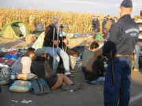 Selbst auf Krücken kommen die Flüchtlinge zu Fuß über die Grenze. Foto: BR | Dejan Stefanovic