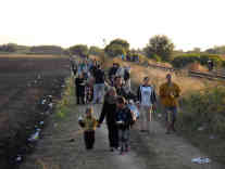 Tausende Menschen strömen täglich über die serbisch-ungarische Grenze entlang der stillgelegten Bahnstrecke Horgos-Röszke nach Ungarn. Foto: BR | Dejan Stefanovic