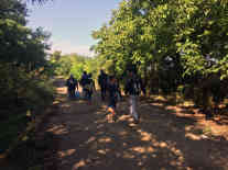 Zu Fuß geht es für die Flüchtlinge über die serbisch-kroatische Grenze. Foto: BR | Gordan Godec