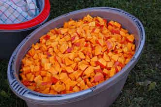 Nahrung für die Flüchtlingsküche. Foto: BR | Stephan Ozsváth