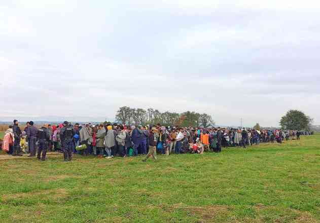 1000 bis 2000 Flüchtlinge werden bei Dobova von Kroatien nach Slowenien über die grüne Grenze gebracht. Foto: BR | Till Rüger