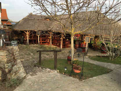 Im Sommer laden die umliegenden Weinberge neben der Kur auch zur Weinprobe ein. Foto: BR | Gero Korritter