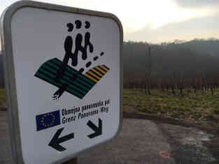 ... einige Grundbesitzer wehren sich gegen den Zaunbau durch ihre Weinberge. Foto: BR | Stephan Ozsváth