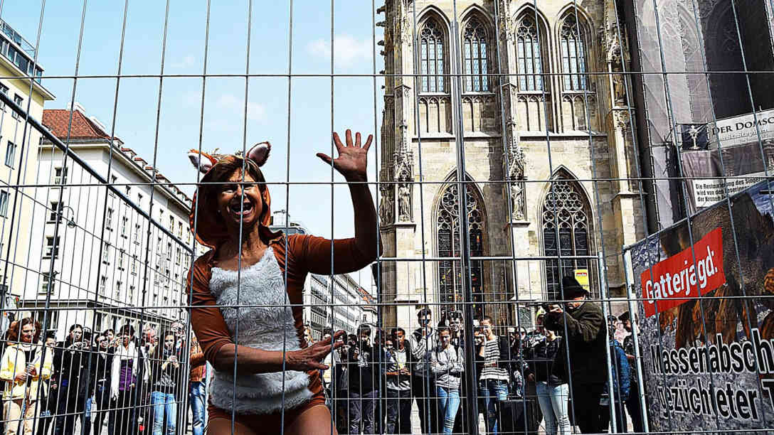 Poledance gegen Gatterjagd vor dem Stephansdom. Foto: VGT | Daniela Deml