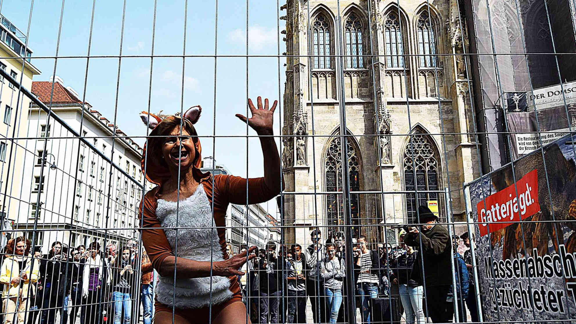 Poledance gegen Gatterjagd vor dem Stephansdom. Foto: VGT | Daniela Deml