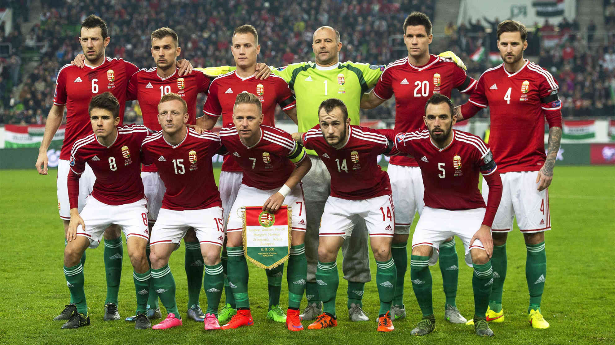Am 15. November schaffte die ungarische Nationalmannschaft die Qualifikation zur Euro 2016. Ein 2:1 Sieg gegen Norwegen im Play-off-Rückspiel brachte die erste Qualifikation für eine EM-Endrunde seit 1972. Foto: picture-alliance | dpa