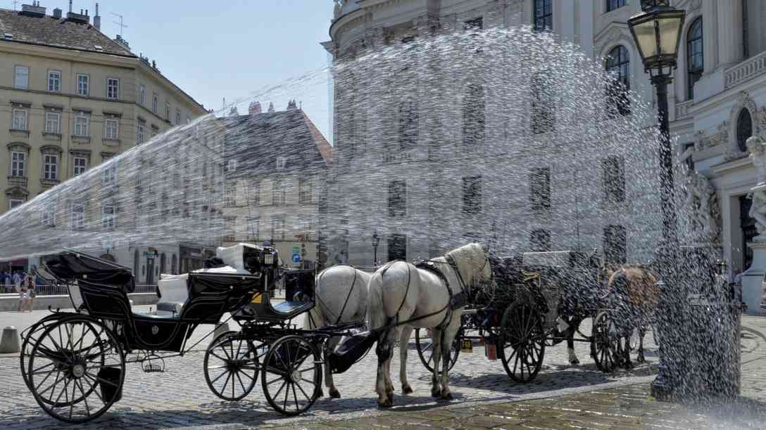 Manchmal hilft im Sommer selbst vor der Hofburg nur noch eine Riesendusche. Foto: picture alliance | dpa