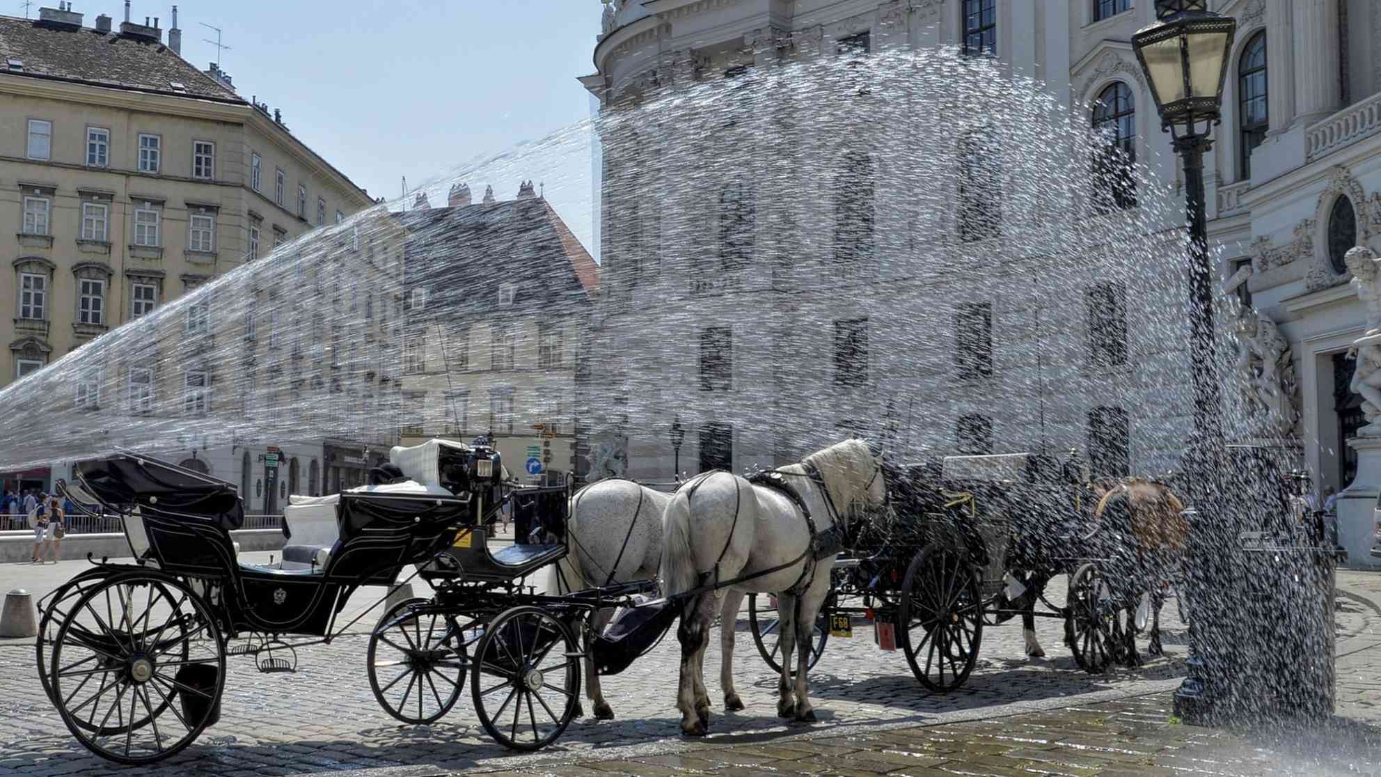 Manchmal hilft im Sommer selbst vor der Hofburg nur noch eine Riesendusche. Foto: picture alliance | dpa