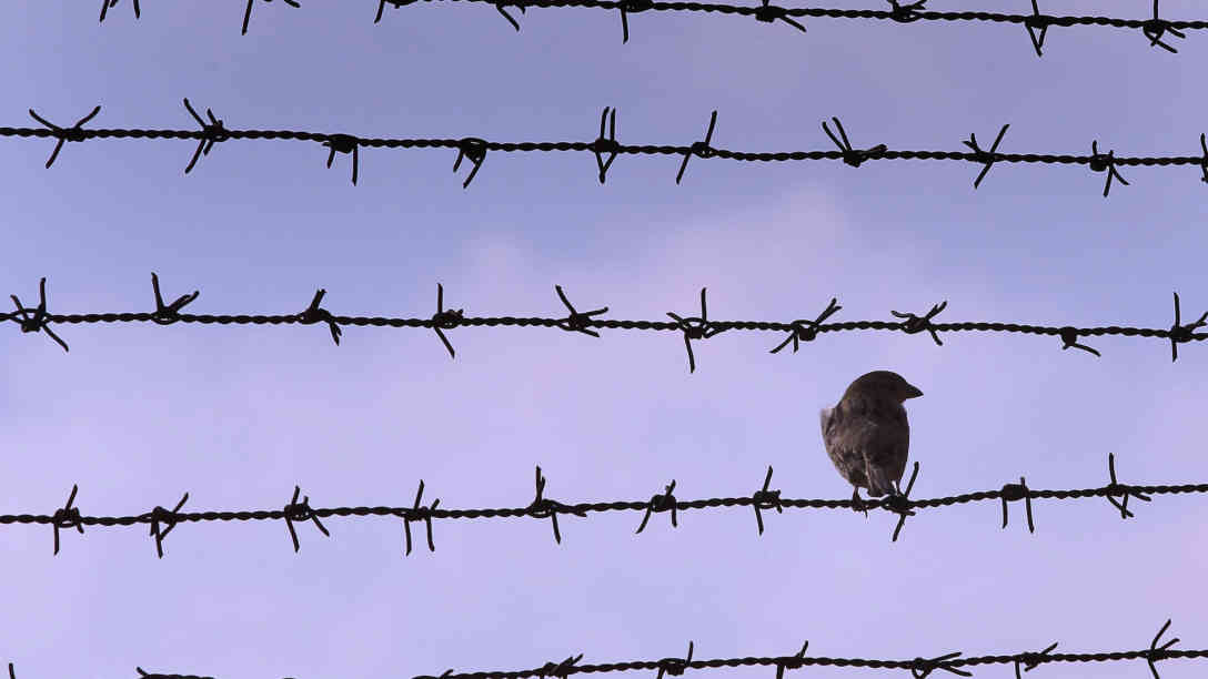 Bild: picture alliance | dpa