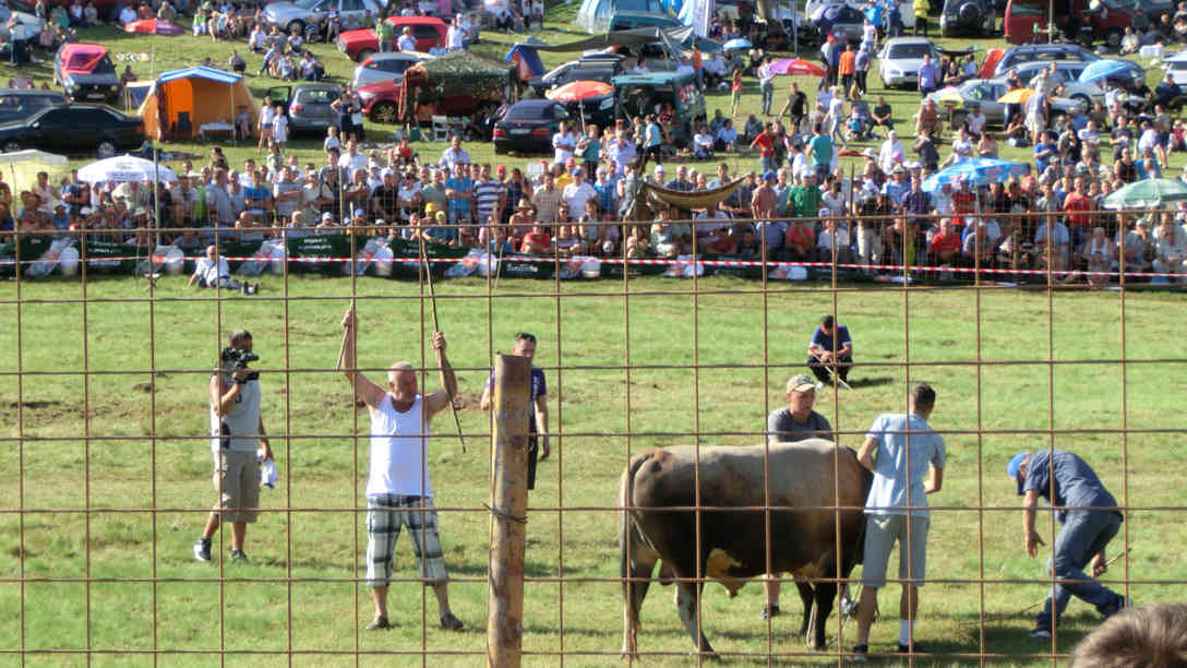 Stierkämpfe sind nur am Sonntagnachmittag. Foto: BR | Eldina Jasarevic