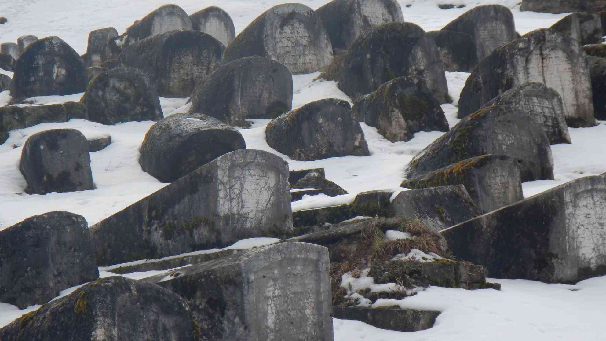 Man nennt sie wegen ihrer Form 'die schlafenden Löwen'. Hunderte - in ihrer Art weltweit einzigartige - Grabsteine auf dem jüdischen Friedhof von Sarajevo. Foto: BR | Eldina Jasarevic