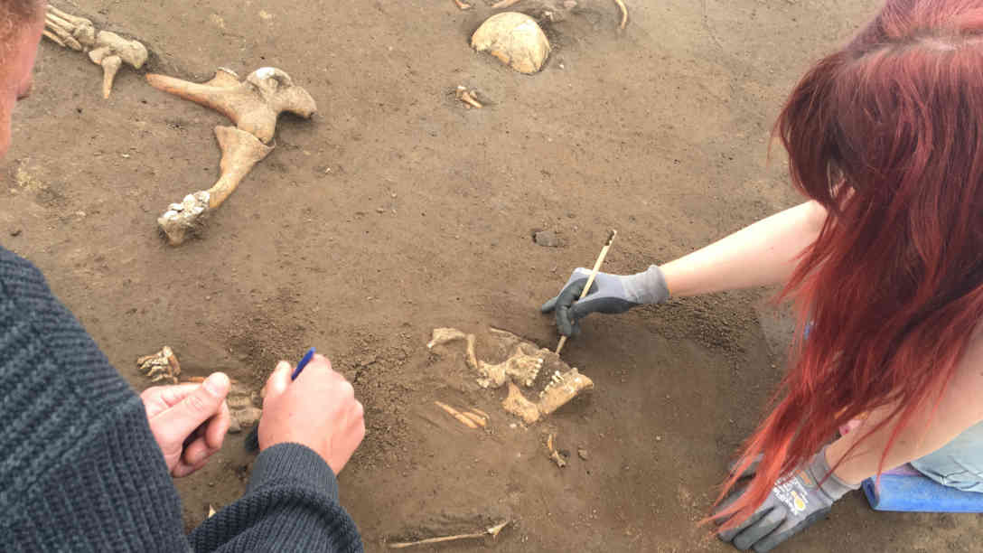 Die Gefallenen liegen nur knapp unterhalb der Grasnarbe. Foto: BR | Michael Mandlik