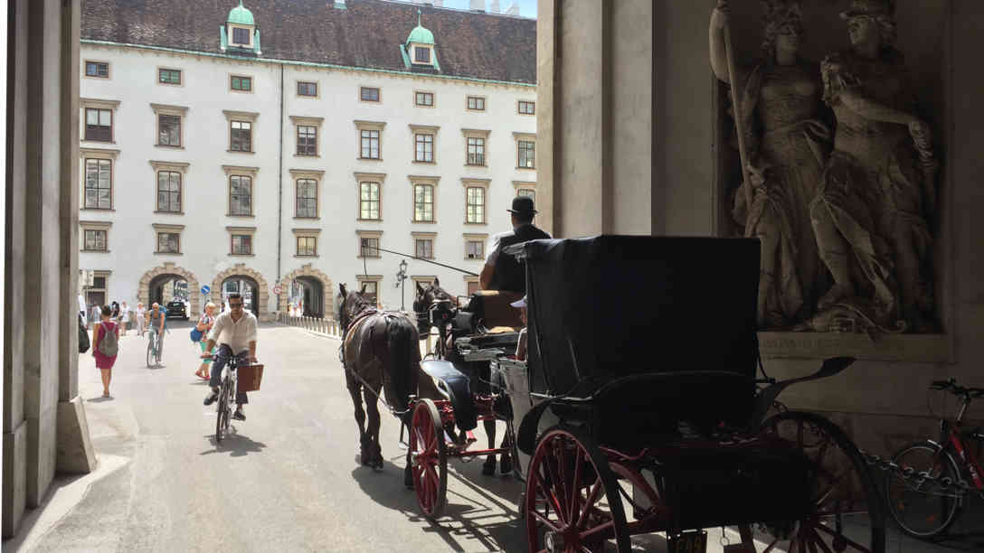 Heute könnte es aufgrund der Hitze zum ersten Mal seit über 300 Jahren passieren, dass Österreichs Hauptstadt ohne Fiaker auskommen muss. Foto: BR | Jakob Mayr