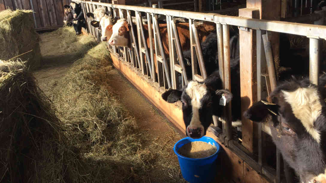 Seit drei Jahrhunderten ist der Hof von Biobauer Sebastian Herzog in Familienbesitz. Foto: BR | Clemens Verenkotte