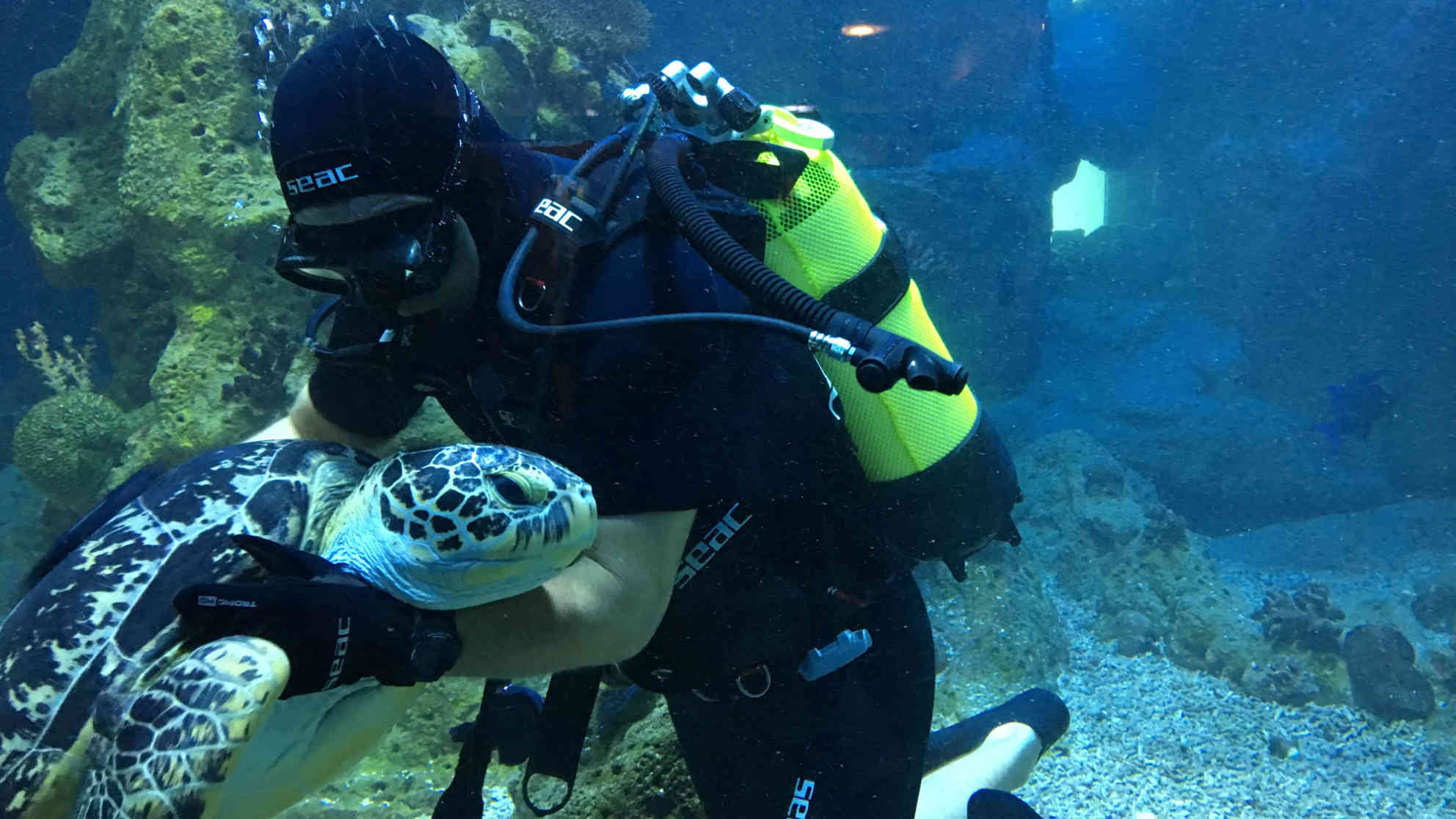 Zwei, die sich verstehen: Puppi und Meeresbiologe Wolfgang Huber. Foto: BR | Michael Mandlik