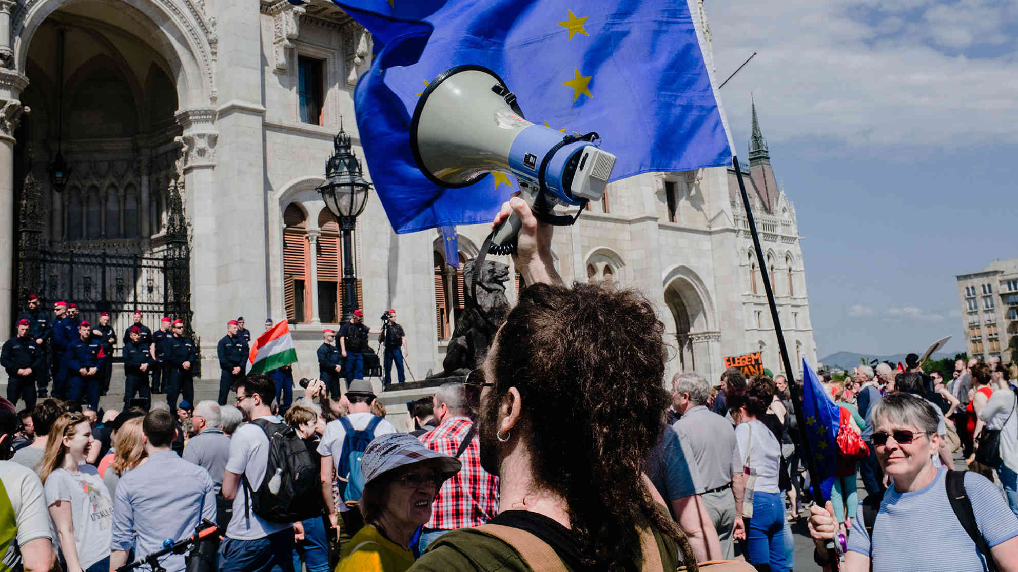 Viele Demonstranten zeigten ihre pro-europäische Einstellung mit entsprechenden Flaggen. Foto: BR | Srdjan Govedarica