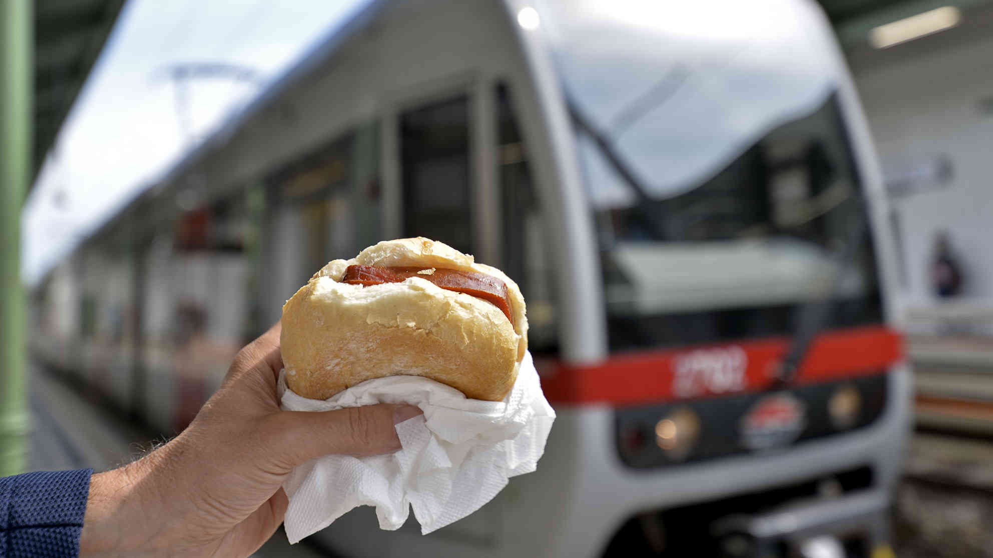 Die Stadt Wien plant ein Verbot von stark riechenden Speisen wie u.a. Leberkäse in der U-Bahnlinie U6. Ab September sollen derartige Gerichte nicht mehr in den Waggons konsumiert werden dürfen. Foto: alliance | APA | picturedesk.com