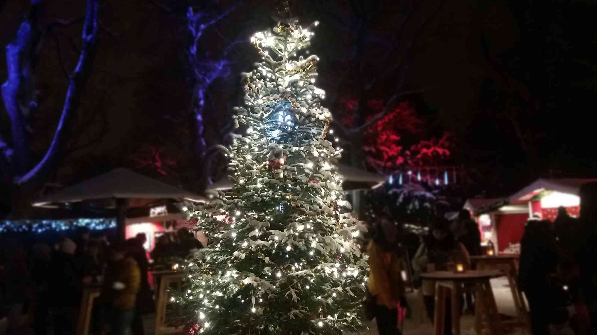 Weihnachtsmarkt im Wiener Türkenschanzpark. Foto: BR | Karin Straka