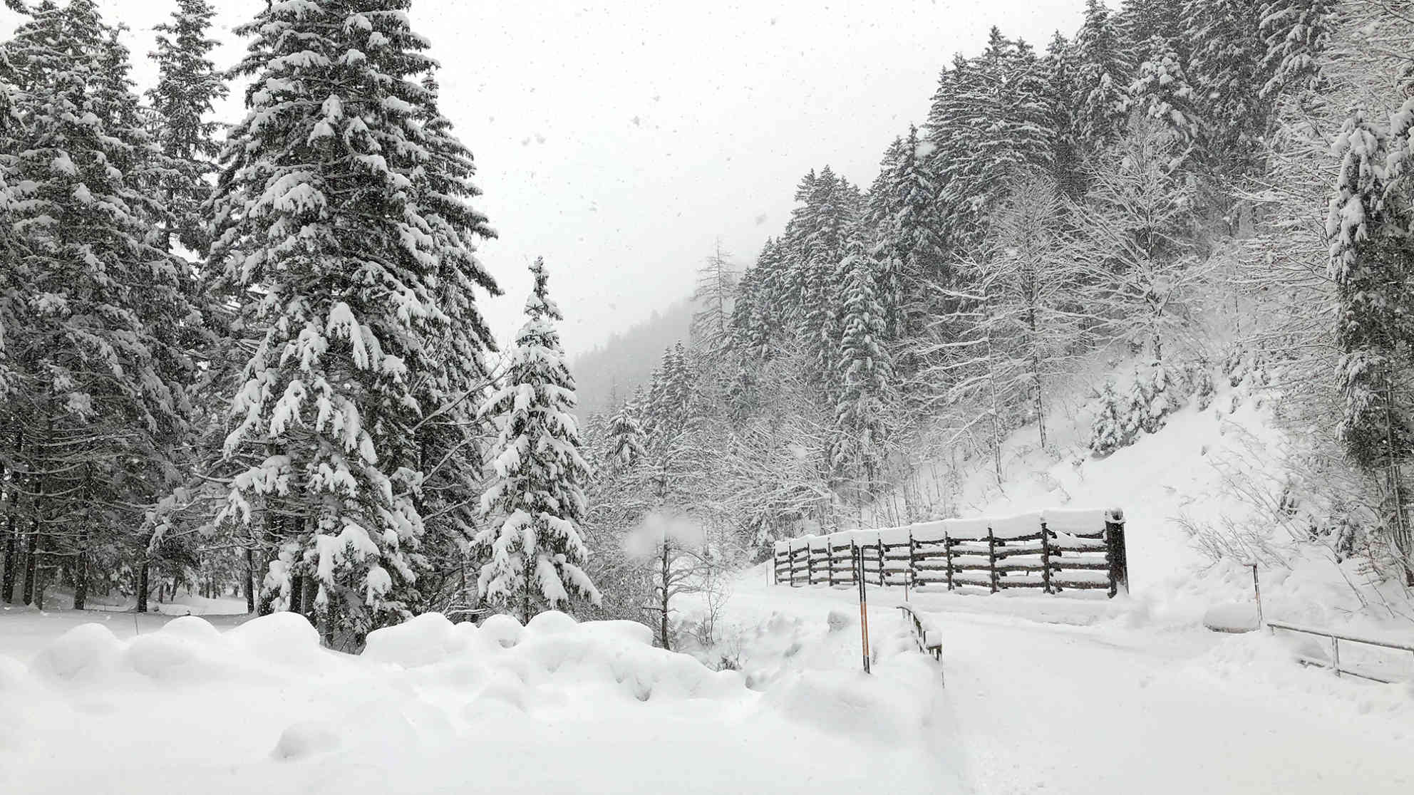 Steiermark im Januar 2019, Clemens Verenkotte unterwegs mit Alexander Podesser, Leiter der Zentralanstalt für Meteorologie und Geodynamik in der Steiermark Foto: BR | Clemens Verenkotte