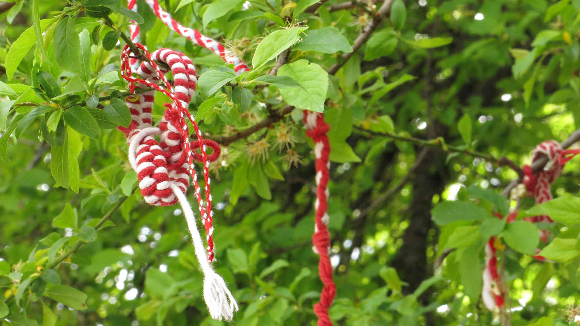 Marteniza in Sofia. Foto: BR | Karin Straka