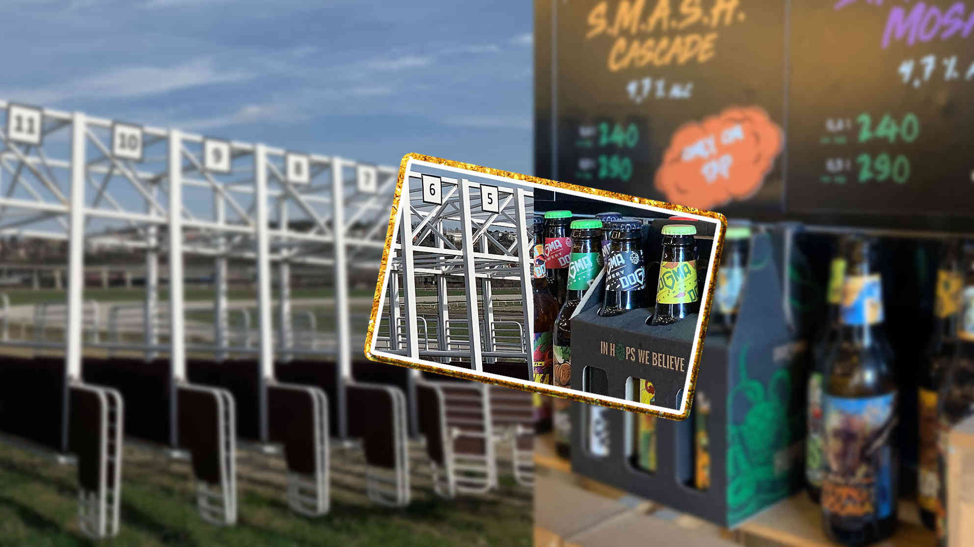 Craftbier-Brauerei und Trabrennbahn - beides bietet der Belgrader Stadtteil rund um die Industriehallen der Alten Zuckerfabrik. Foto: BR | Zoran Ikonic